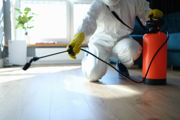 Reliable Odor Removal contractor in New Melle, MO by Trauma Clean Pros